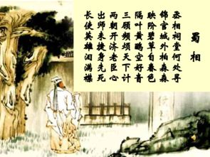 蜀相古诗带拼音