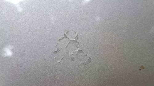 鸟屎掉身上代表发财代表祸是真是假