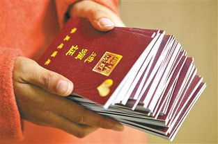 中华遗嘱库和公证处什么区别