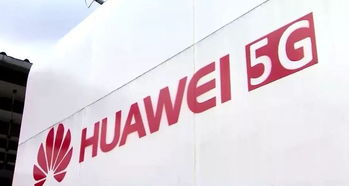 我的华为手机还是没有网络怎么办啊？？？