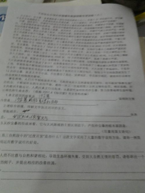 高宗中睿,休养生息的意思，休养生息的意思和造句