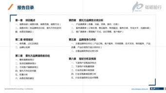 咨询报告是什么东西,咨询报告和评估报告的区别