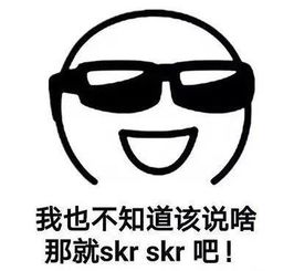 skirt怎么读,skr怎么读音
