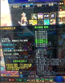 DNF红眼时装属性选择 （刷图）