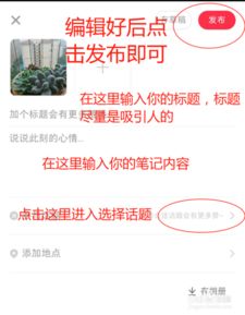 小红书怎么发布笔记不带图片