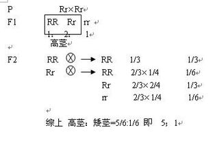 孟德尔定律的适用范围,为什么