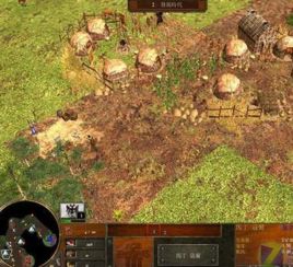 《帝国时代3》全部秘籍有哪些？