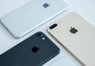 iPhone 7 大概多少钱？