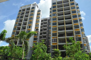 海南网站建设哪个公司最好？