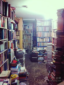 ltem是什么意思:翻译成中文是什么意思？