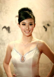 兽兽门之歌的介绍