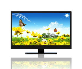 液晶电视都有多大尺寸