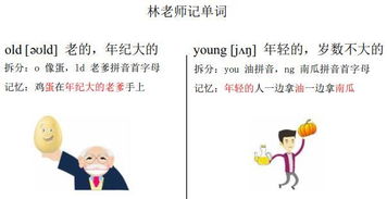 幽拼音怎么读音