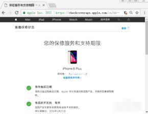 官网怎么查询苹果手机是否激活状态