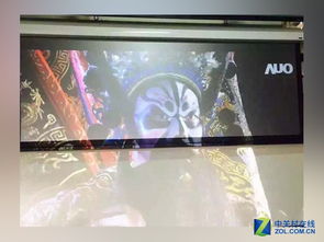 投影幕布有哪几种材质