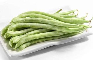 芸豆多久能熟透