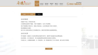 网站建设公司是什么？