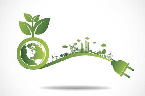 环保心得体会300字免费