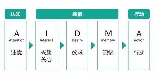 USP、AIDMA的原则是什么？