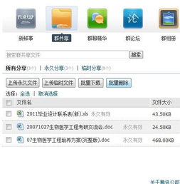 qq群共享文件在哪里打开