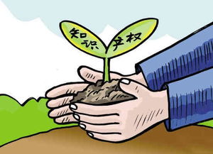 知识产权诉讼流程程序是怎样的