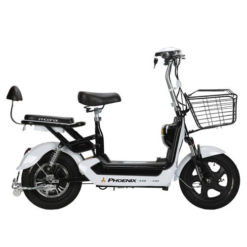 凤凰电动车专卖店,凤凰电动车价格