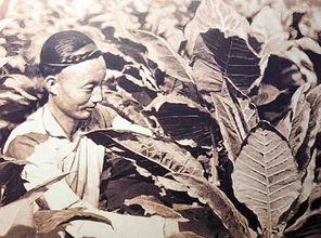 筚路蓝缕的意思