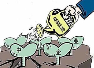 现在国家对自主创业有什么优惠政策？