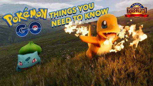 伊布进化哪个好 pokeman go