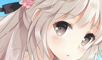 二次元到底是什么意思?