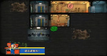 《辐射：避难所Online》中有哪些值得培养的T？