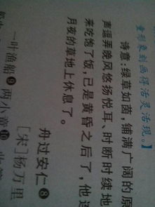 梗概是什么意思？