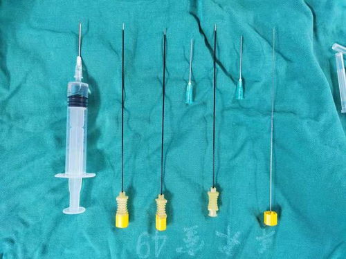 针针菇的凉拌做法大全