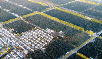 阿拉尔市绿洲建设工程有限责任公司怎么样？