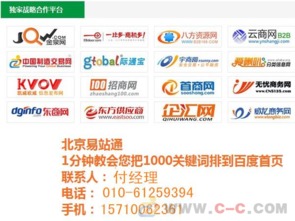 北京网站推广助理,北京网站推广托管公司