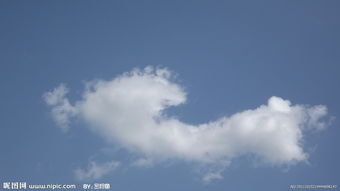 如意云烟怎么样