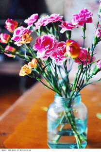 花点时间（）作文怎么写