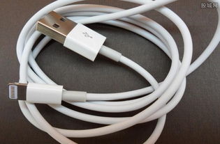 苹果手机原装数据线多少钱一条