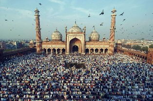 伊斯兰教的饮食习惯，忌讳