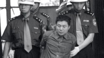 中国十大悍匪纪实全集