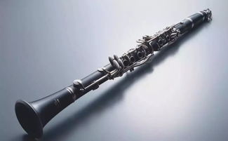 单簧管是冷门乐器吗