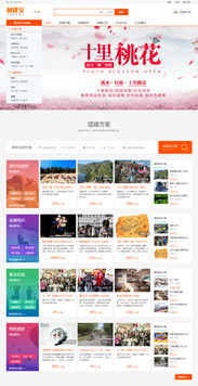 电子商务网站建设