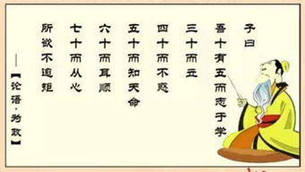 四十不惑的意思是什么,四十不惑的意思是什么五十知天命