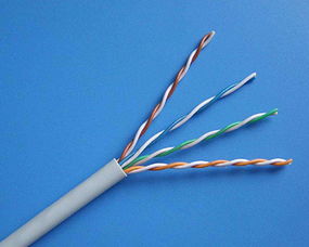 一般网线一米多少钱？