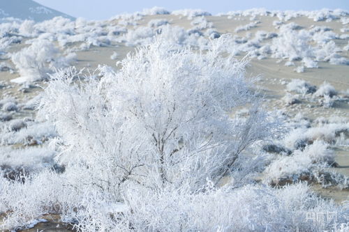 中国十大湖泊面积排名