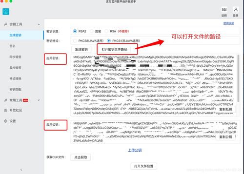 你好请问跟支付宝开放平台的服务商做代理支付宝刷