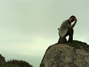 ”地陪”是什么意思？