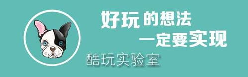 酷玩实验室的蛋蛋姐和读透伤寒的蛋蛋姐是同一人吗
