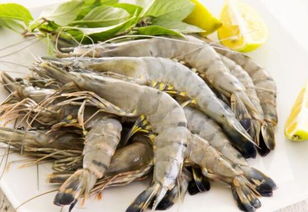 台湾草虾是海虾还是河虾