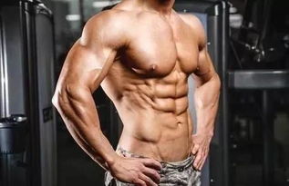 怎样才能练出腹肌和肌肉